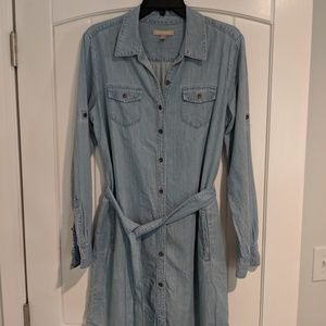 Banana Republic Denim Dress